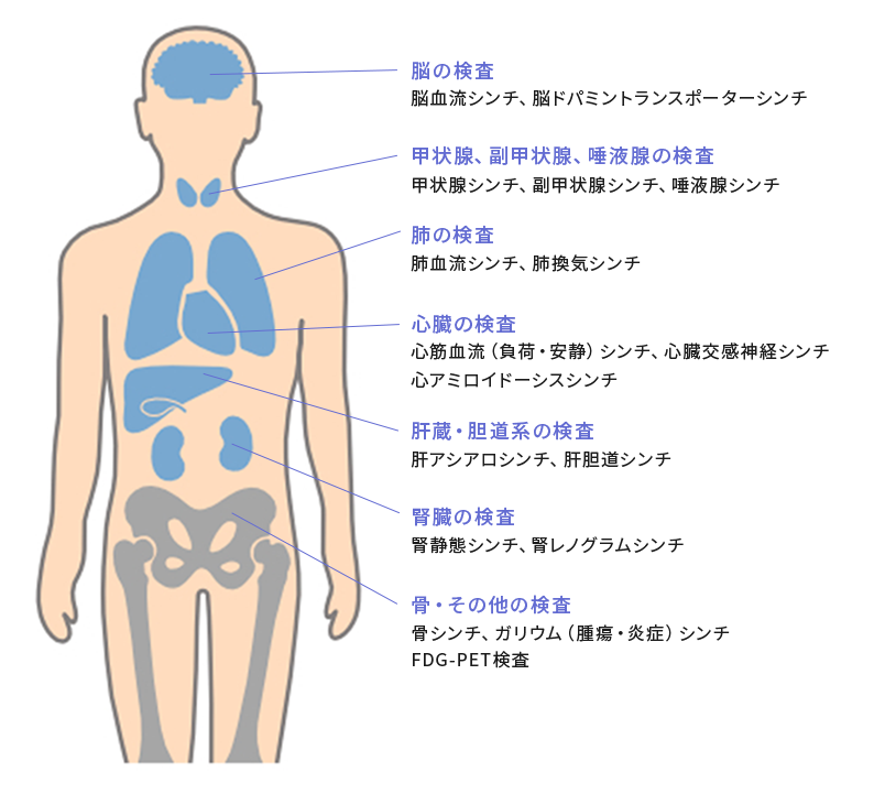 おもな核医学(RI)検査